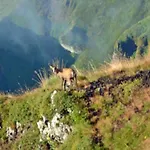 Kemping Avec Terrasse - 6 Pers. - Api-1-52-2030 La Tour-dʼAuvergne