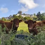 Avec Terrasse - 6 Pers. - Api-1-52-2030 La Tour-dʼAuvergne