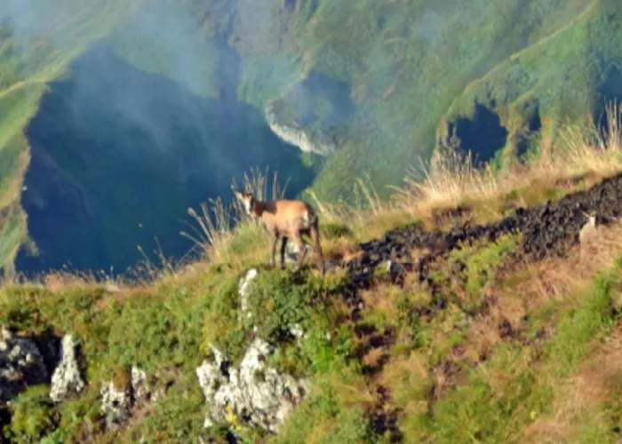 Campsite Avec Terrasse - 6 Pers. - Api-1-52-2030 La Tour-d'Auvergne