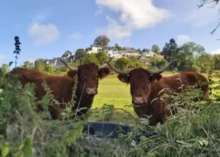 Avec Terrasse - 6 Pers. - Api-1-52-2030 La Tour-d'Auvergne